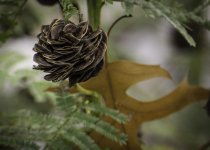 DSC_0664.jpg