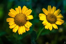 042-Edit.jpg