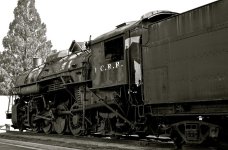 DSC_8098.jpg