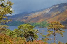 DSC_0187.jpg