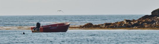 DSC_0373.jpg