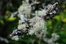 DSC_0323.jpg