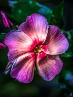 120-Edit.jpg