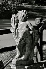 DSC_8337.jpg