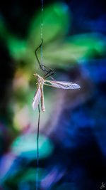 077-Edit.jpg