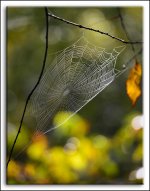 DSC_2542.jpg
