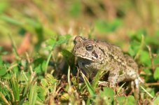 DSC_8383.jpg