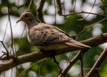 20140920 016-2.jpg