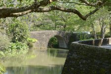 DSC_4804.jpg