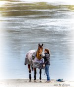 Claire is a horse whisperer LOL.jpg Claire is a horse whisperer LOL.jpg