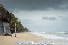 DSC_1426.jpg