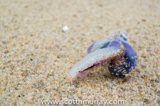 DSC_1437.jpg