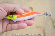 DSC_1438.jpg