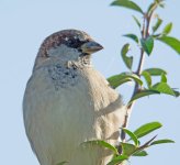 DSC_8567.jpg