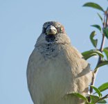 DSC_8569.jpg