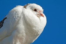 DSC_8546.jpg