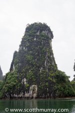 DSC_1645.jpg