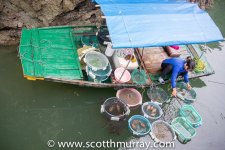 DSC_1684.jpg