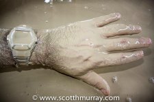 DSC_1833.jpg