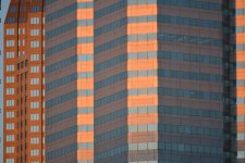 DSC_0877.jpg