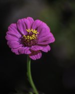 DSC_0854-Edit-Edit.jpg