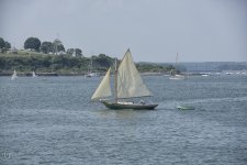 D810 Cape #1 HD3.jpg