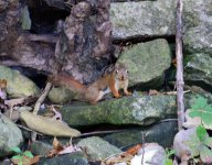 DSC_0007.jpg
