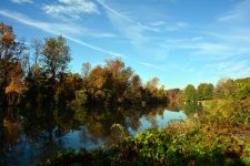 DSC_2117.jpg