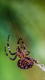 085-Edit-2-Edit.jpg