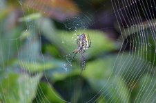DSC_0048.jpg