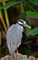 DSC_8745.jpg