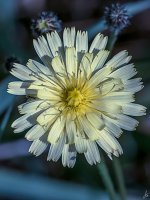 050-Edit-Edit.jpg