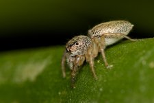 DSC_6865.jpg