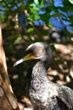DSC_8735.jpg