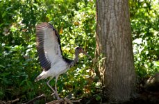 DSC_8750.jpg