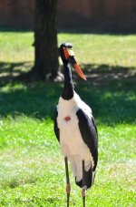DSC_8758.jpg