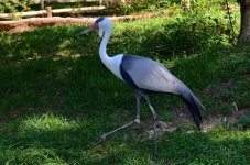 DSC_8777.jpg