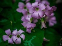 326-Edit-2.jpg