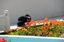 DSC_4832.jpg