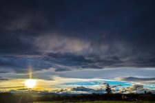 600_8907 (1000x668).jpg