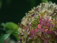 104-Edit-2.jpg