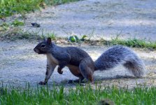 DSC_0092.jpg