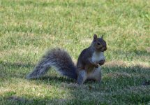 DSC_0097.jpg