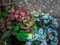 135-Edit.jpg