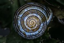 054-2-Edit.jpg