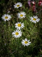 028-Edit.jpg