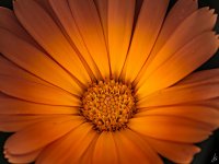 059-Edit.jpg