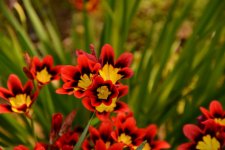 DSC_4878.jpg