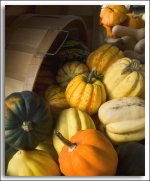 Harvest Assign.jpg Harvest Assign.jpg