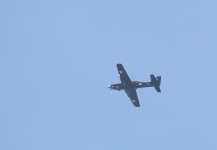 DSC_8637.jpg
